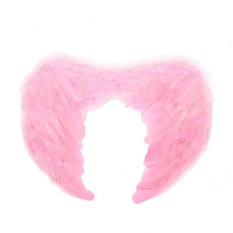 Andělské křídla barevné